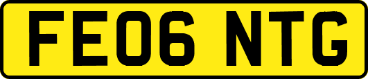FE06NTG