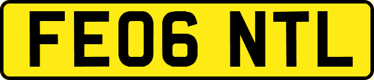 FE06NTL