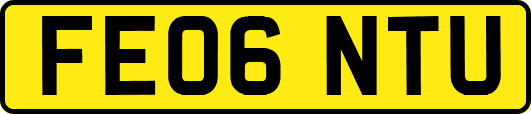 FE06NTU
