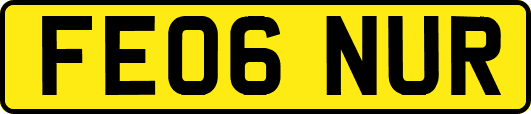 FE06NUR
