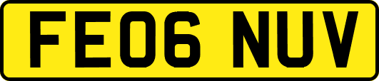 FE06NUV