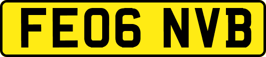 FE06NVB