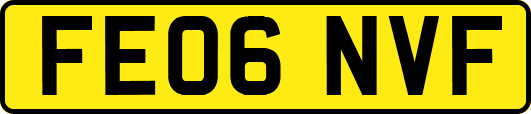 FE06NVF