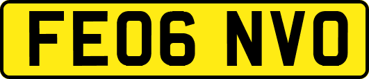 FE06NVO