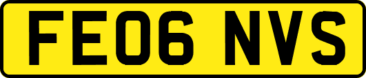 FE06NVS