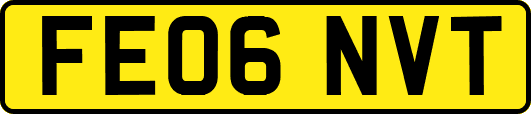 FE06NVT