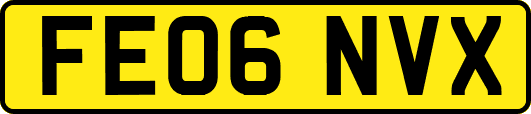 FE06NVX