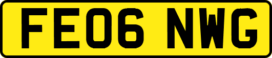 FE06NWG