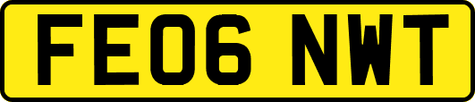 FE06NWT