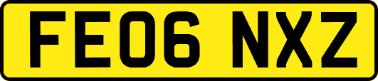 FE06NXZ