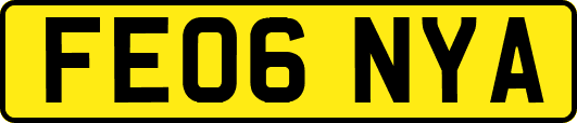 FE06NYA