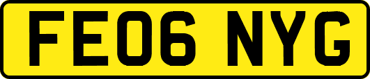 FE06NYG