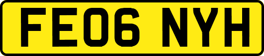 FE06NYH