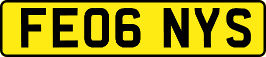 FE06NYS