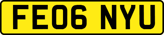FE06NYU