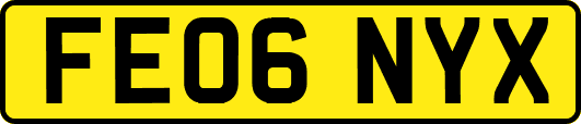 FE06NYX