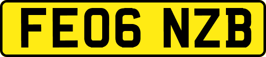 FE06NZB