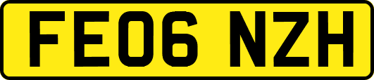 FE06NZH