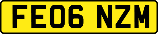 FE06NZM