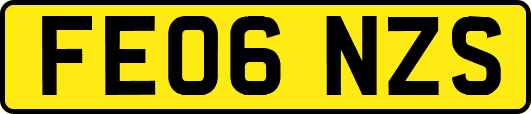 FE06NZS