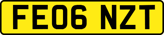 FE06NZT