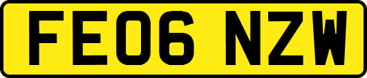 FE06NZW