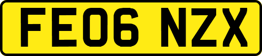 FE06NZX