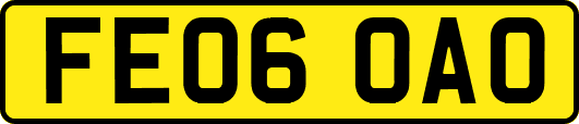 FE06OAO