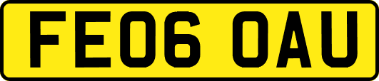FE06OAU