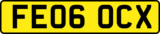 FE06OCX