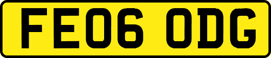 FE06ODG