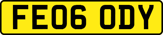 FE06ODY