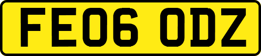 FE06ODZ
