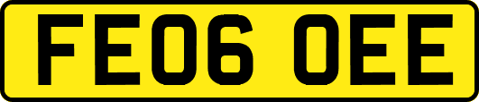 FE06OEE