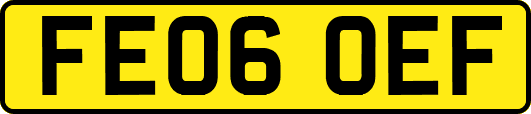 FE06OEF