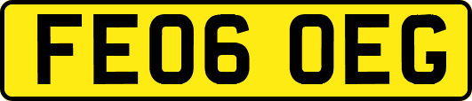 FE06OEG