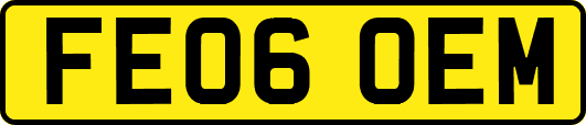 FE06OEM