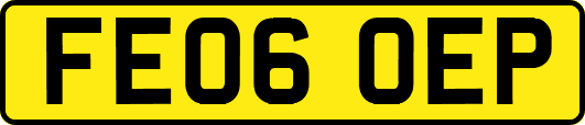 FE06OEP