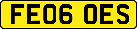 FE06OES