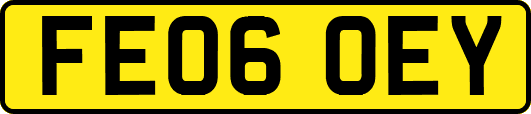 FE06OEY