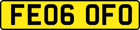 FE06OFO