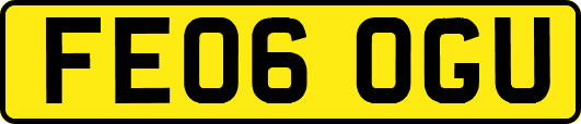 FE06OGU