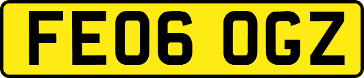 FE06OGZ