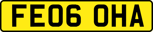 FE06OHA