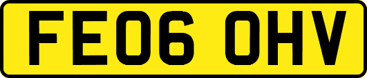 FE06OHV