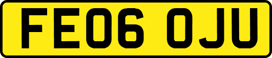 FE06OJU