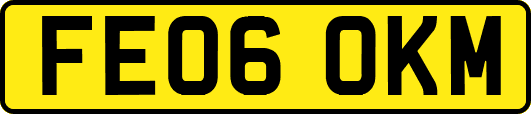 FE06OKM