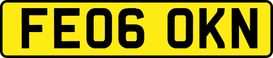 FE06OKN
