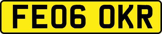 FE06OKR