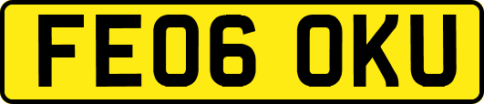 FE06OKU